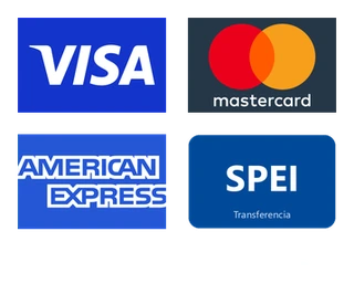 Pagos seguros: Visa, Mastercard, American Express - Powered by Stripe
